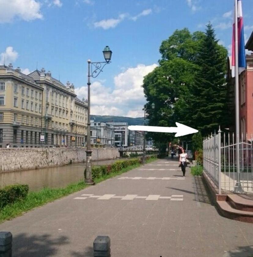 Apartment Festina Lente Apartment-center Of The City! *